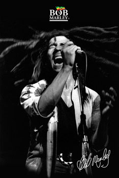 plakaty-full-bob-marley-shout-b-and-w-2841.jpg